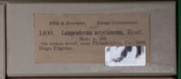 Image Associated With the Occurence